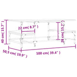 Sonoma grauer Couchtisch 100x50,5x40 cm, Holzwerkstoff