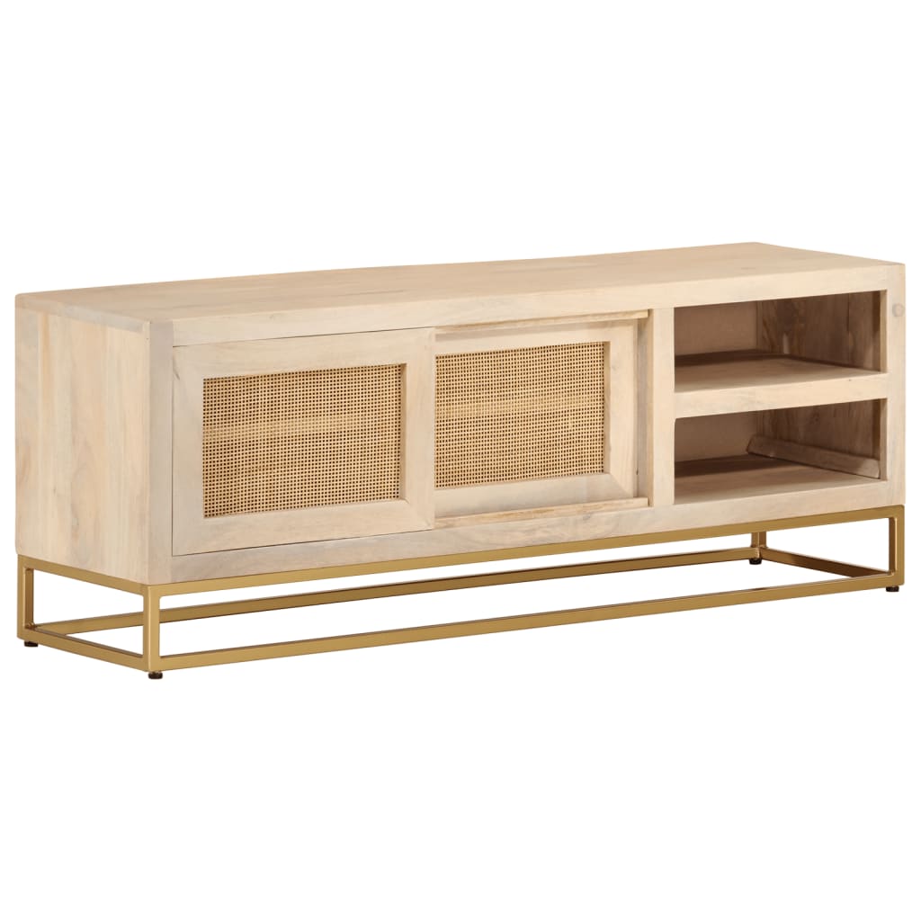 Meuble TV 110x30x40 cm bois massif de manguier et fer