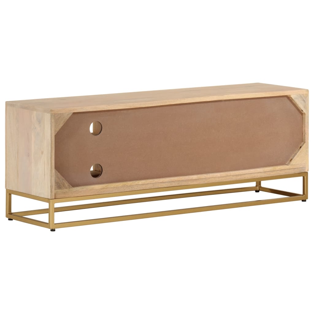 Meuble TV 110x30x40 cm bois massif de manguier et fer