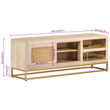 Meuble TV 110x30x40 cm bois massif de manguier et fer