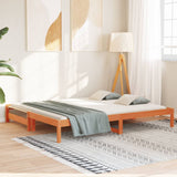 Lit de jour et lit gigogne sans matelas cire marron 90x190 cm