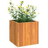 Jardinière 35x35x35 cm bois massif d'acacia