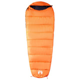 Mummy Sleeping Bag for Adults Camping 3 Seasons