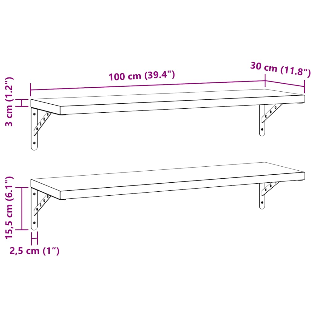 Étagères murales 2 pcs 100x30 cm argenté acier inoxydable