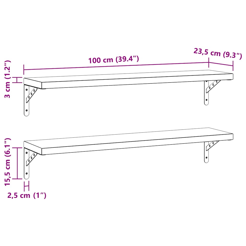 Étagères murales 2 pcs 100x23,5 cm argenté acier inoxydable