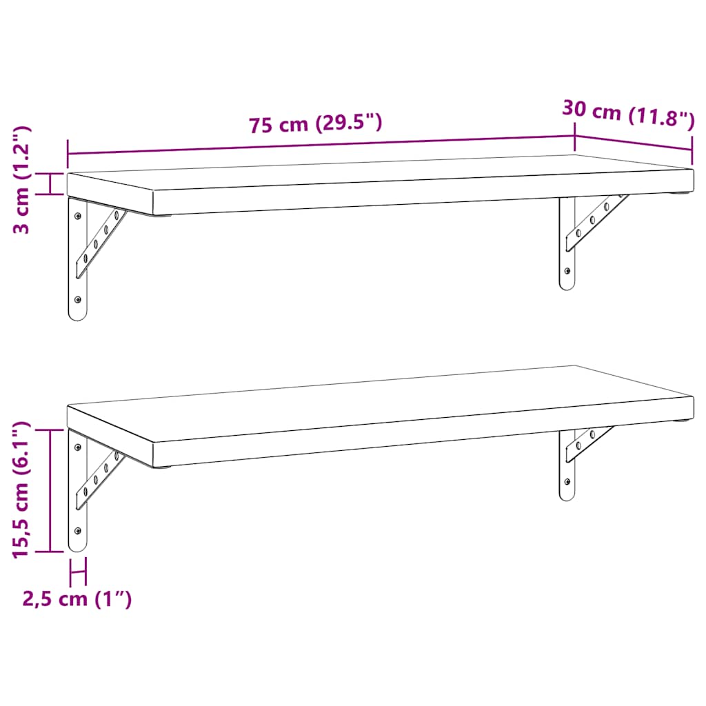 Étagères murales 2 pcs 75x30 cm argenté acier inoxydable