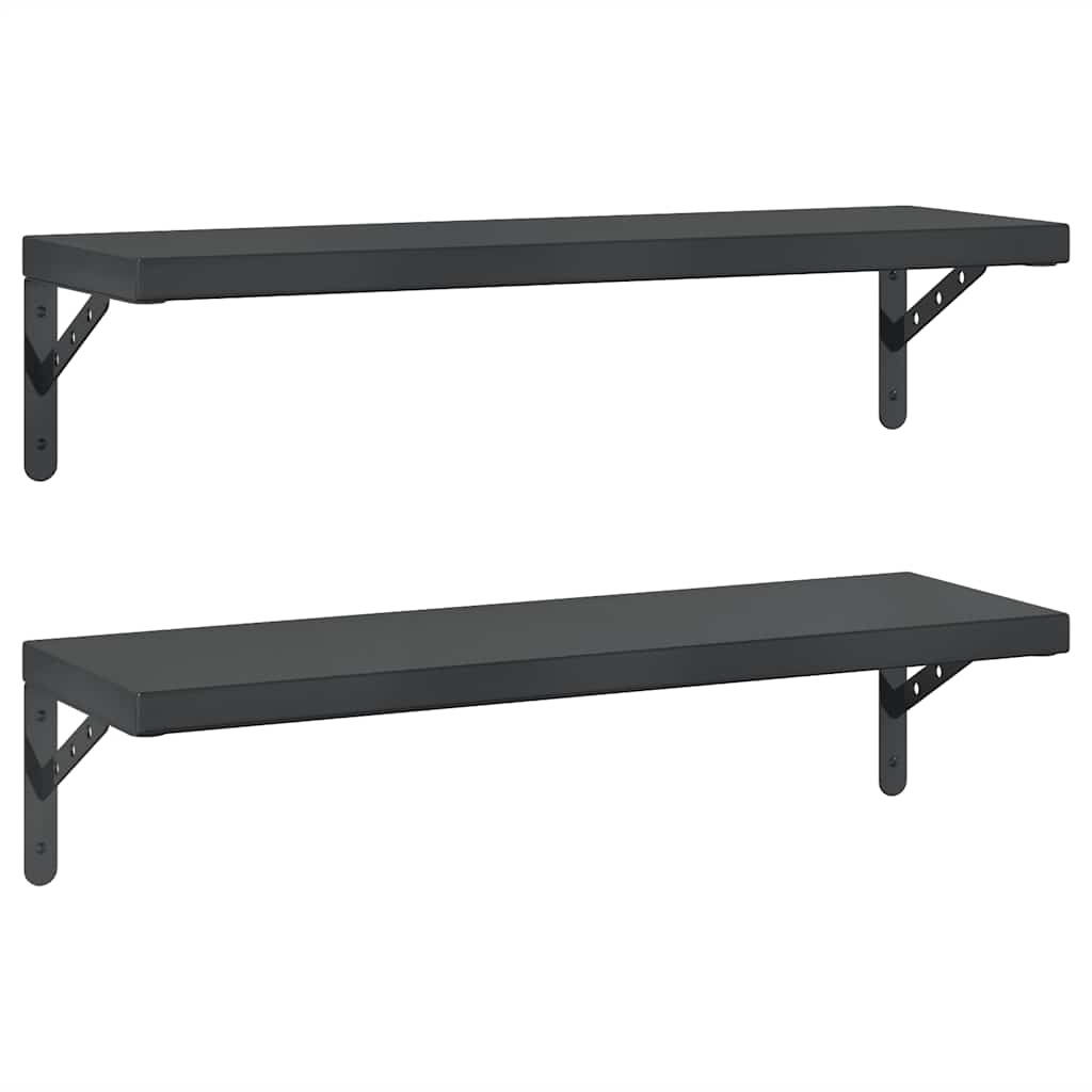 Étagères murales 2 pcs 75x23,5 cm noir acier inoxydable