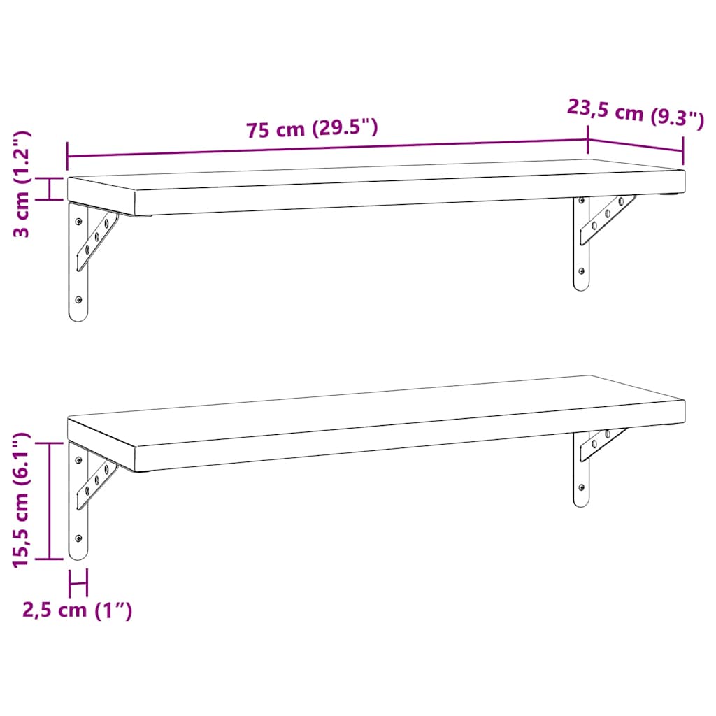 Étagères murales 2 pcs 75x23,5 cm noir acier inoxydable