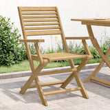 Chaises pliables de jardin lot de 2 bois massif d'acacia