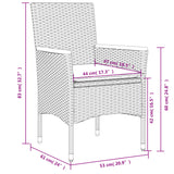 Chaises de jardin avec coussins lot de 2 gris résine tressée