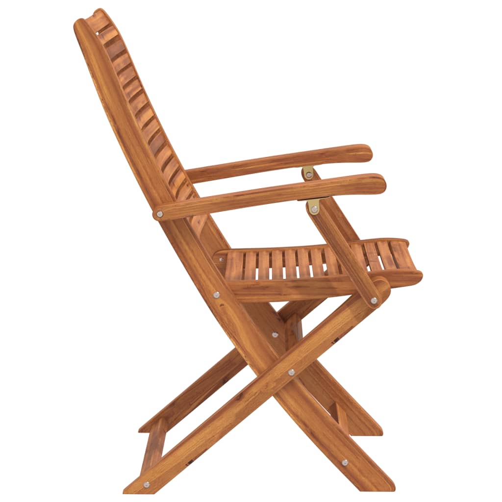 Chaises pliantes de jardin avec accoudoir lot de 2