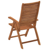 Chaises de jardin pliantes inclinables lot de 2