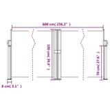 Retractable side awning anthracite 100x600 cm