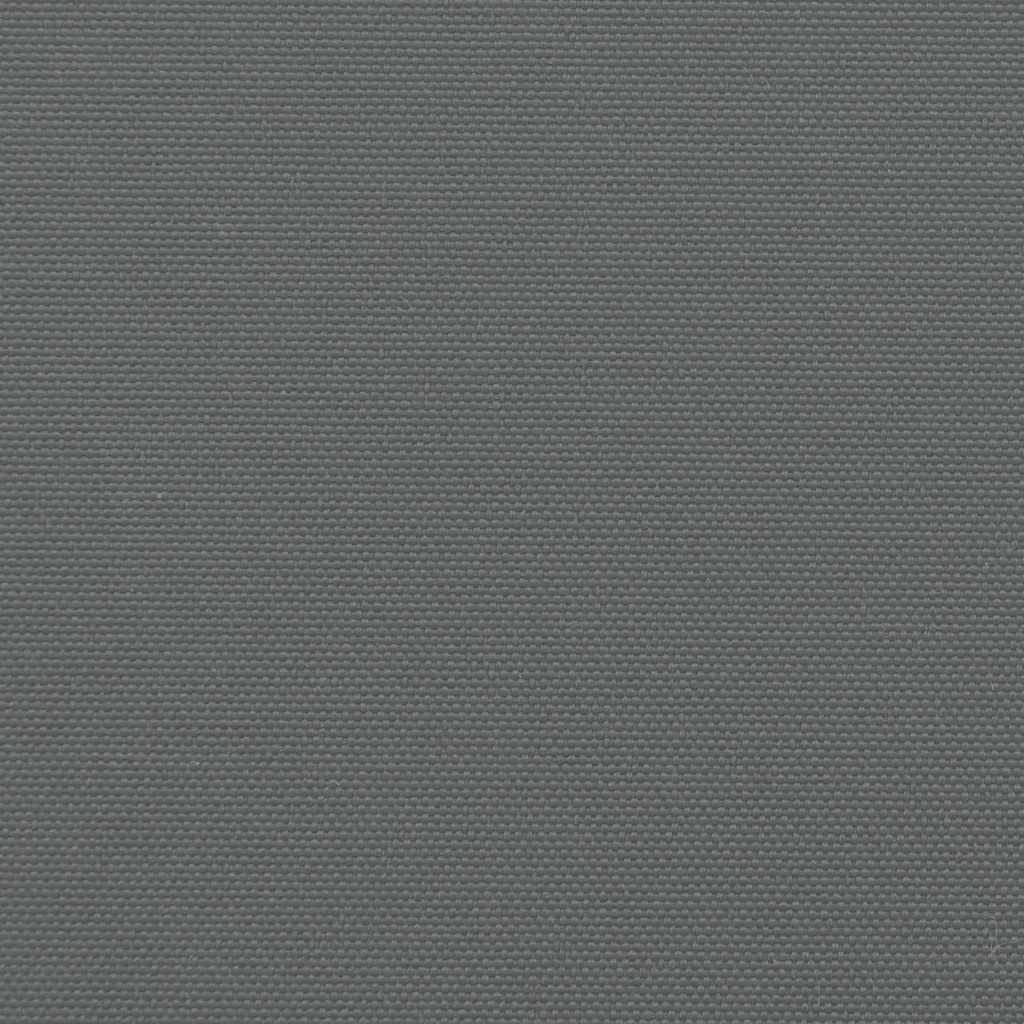 Auvent latéral rétractable anthracite 200x600 cm