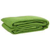 Tapis de tente vert clair 250x600 cm PEHD