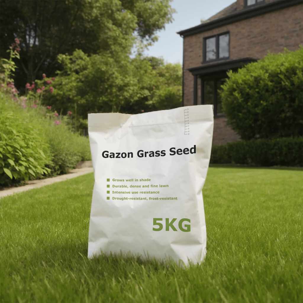 Graine de gazon 5 kg