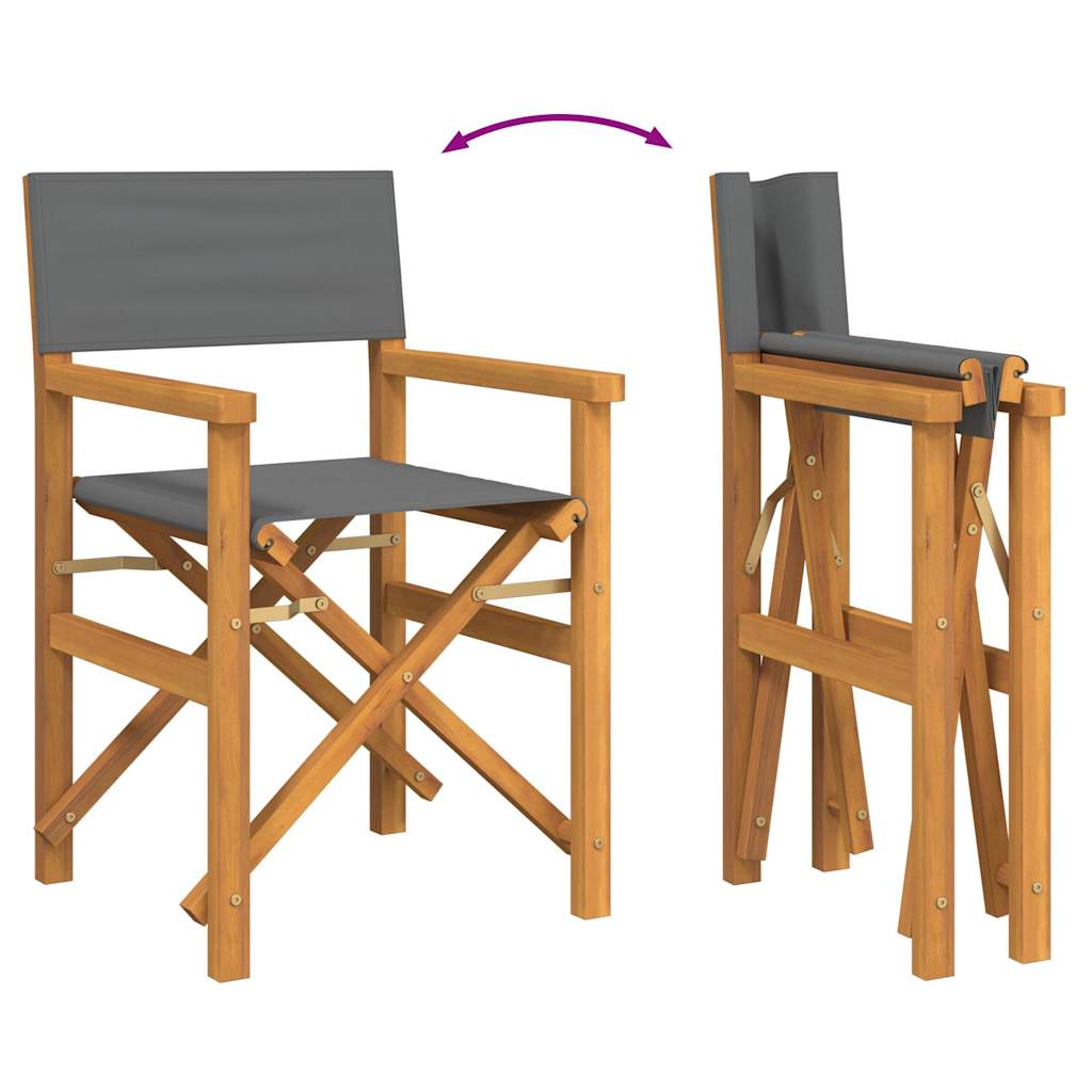 Chaises de metteur en scène pliantes lot de 2 Bois teck massif