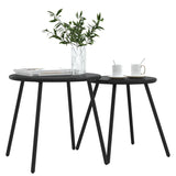 Tables basses de jardin 2pcs rondes noir acier enduit de poudre