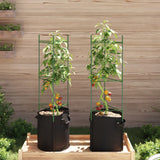 Cage à tomates avec sac à plantes 2 pcs 116 cm acier et PP