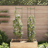 Tomato cage 2 pcs 154 cm steel and PP