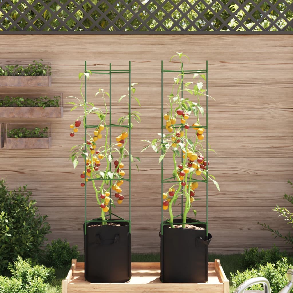 Cage à tomates avec sac à plantes 2 pcs 154 cm acier et PP