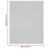 Hellgraue Camping-Bodenplane 4x2 m