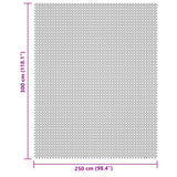 Hellgraue Camping-Bodenplane 3x2,5 m