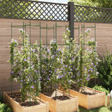 Cages à tomates 6 pcs 154 cm acier et PP