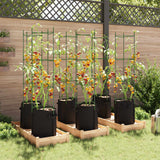 Cages à tomates avec sacs à plantes 6 pcs 154 cm acier et PP