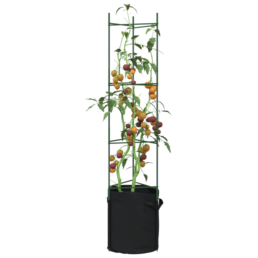 Cages à tomates avec sacs à plantes 6 pcs 154 cm acier et PP