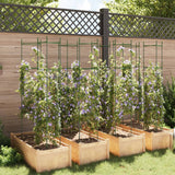 Cages à tomates 8 pcs 154 cm acier et PP