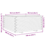 Jardinière 100x100x49,5 cm bois massif de douglas