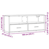 Meuble TV sonoma gris 100x31x39,5 cm bois d'ingénierie et métal