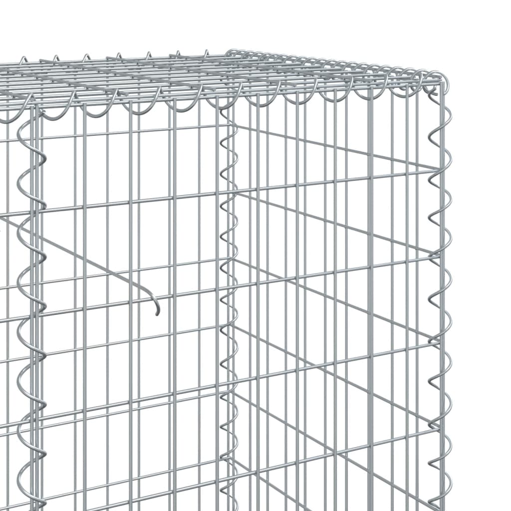 Panier gabion avec couvercle 100x50x100 cm fer galvanisé