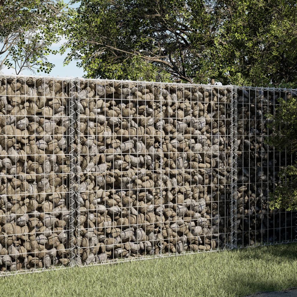 Panier gabion avec couvercle 100x50x100 cm fer galvanisé