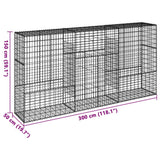 Panier gabion avec couvercle 300x50x150 cm fer galvanisé