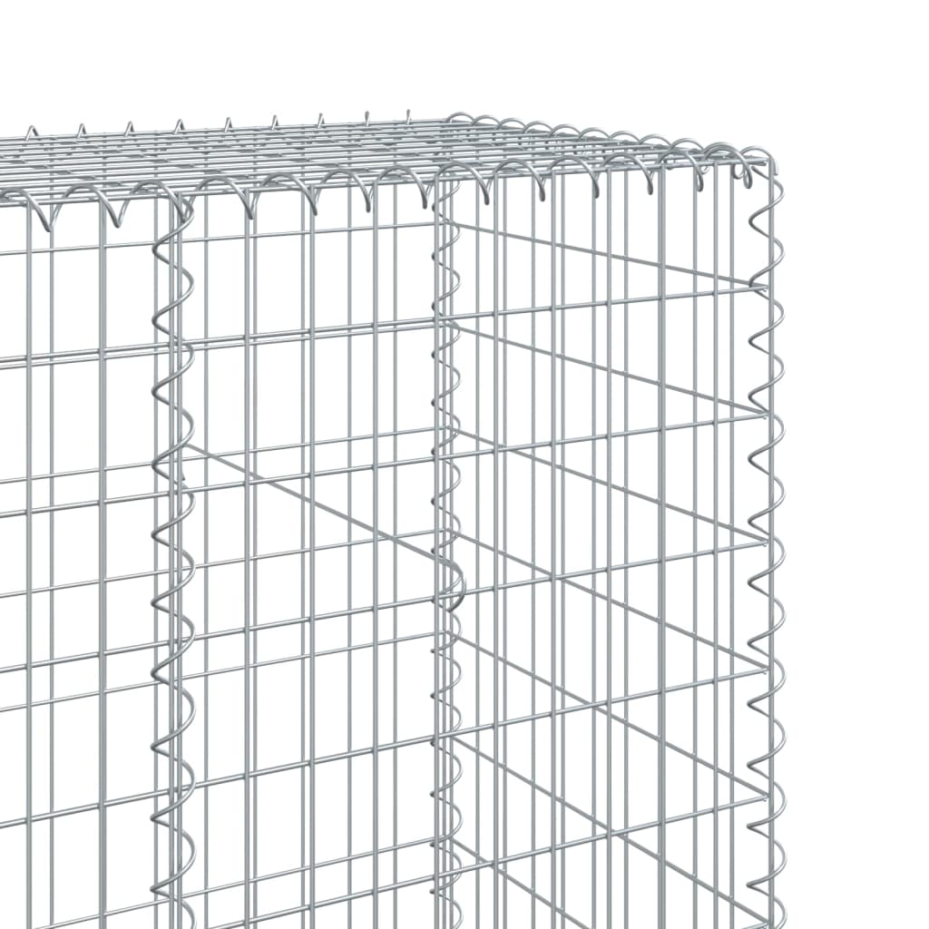 Gabion basket with lid 100x50x200 cm galvanized iron