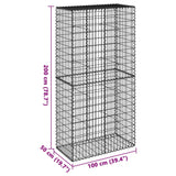 Gabion basket with lid 100x50x200 cm galvanized iron