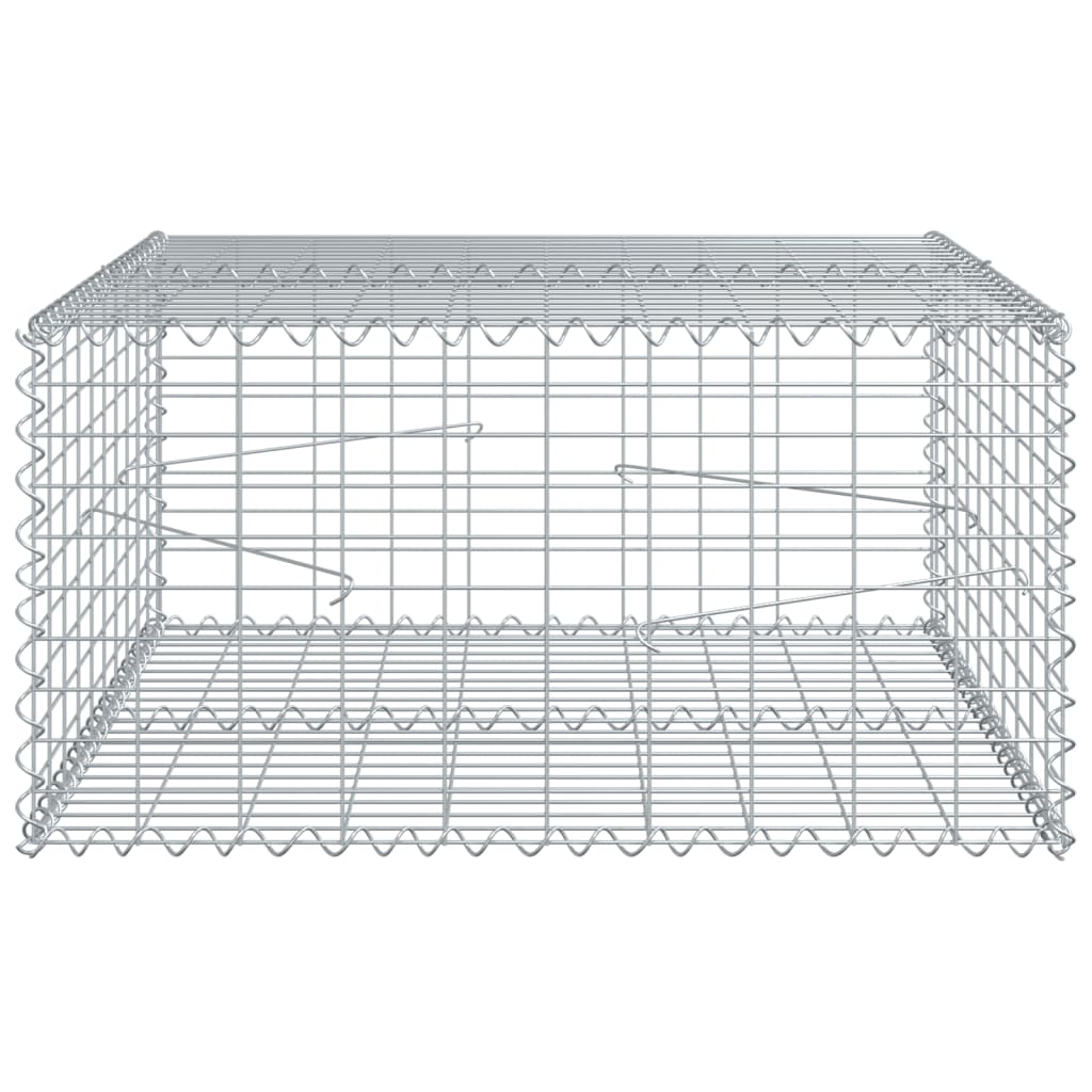 Panier gabion avec couvercle 100x100x50 cm fer galvanisé