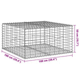 Panier gabion avec couvercle 100x100x50 cm fer galvanisé