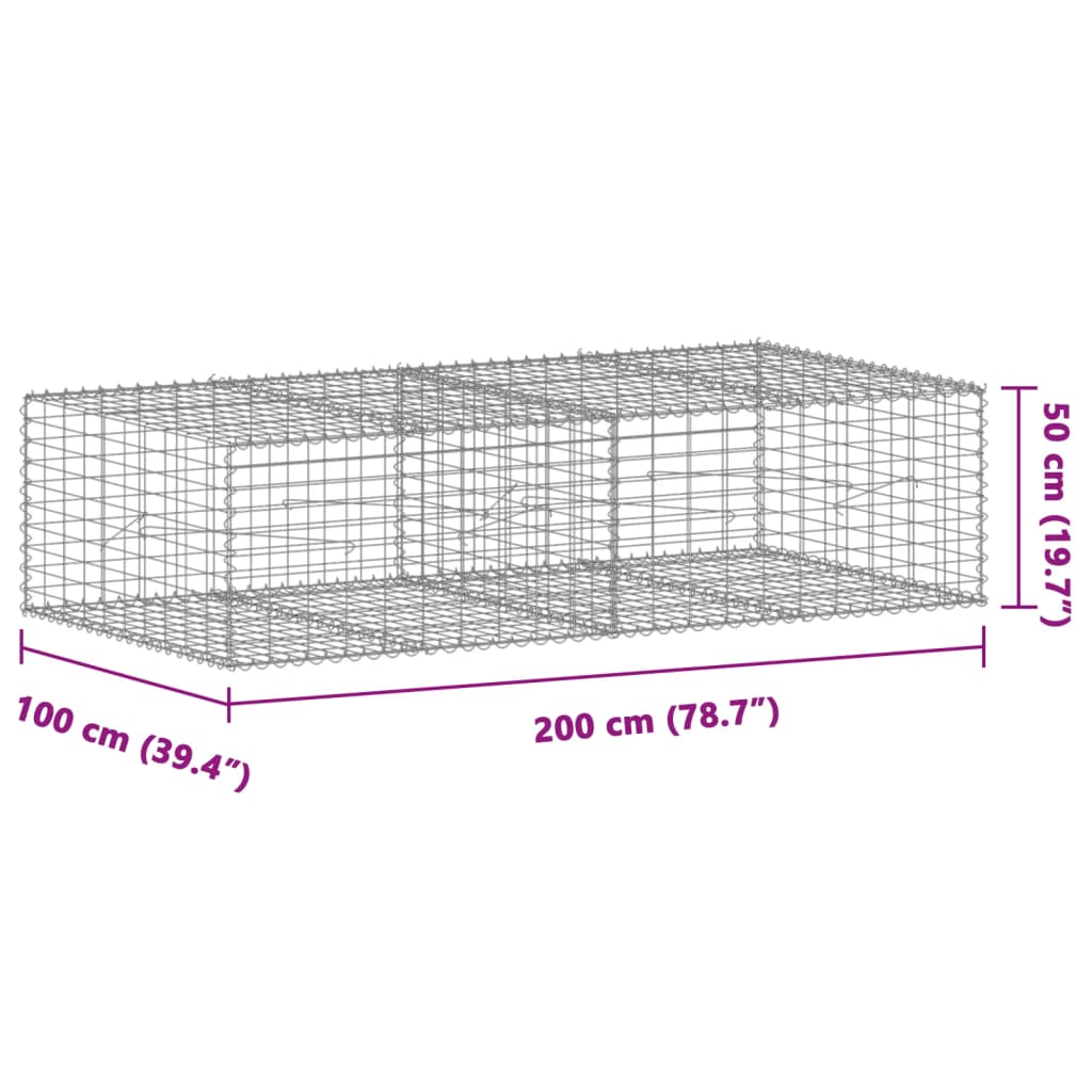 Panier gabion avec couvercle 200x100x50 cm fer galvanisé