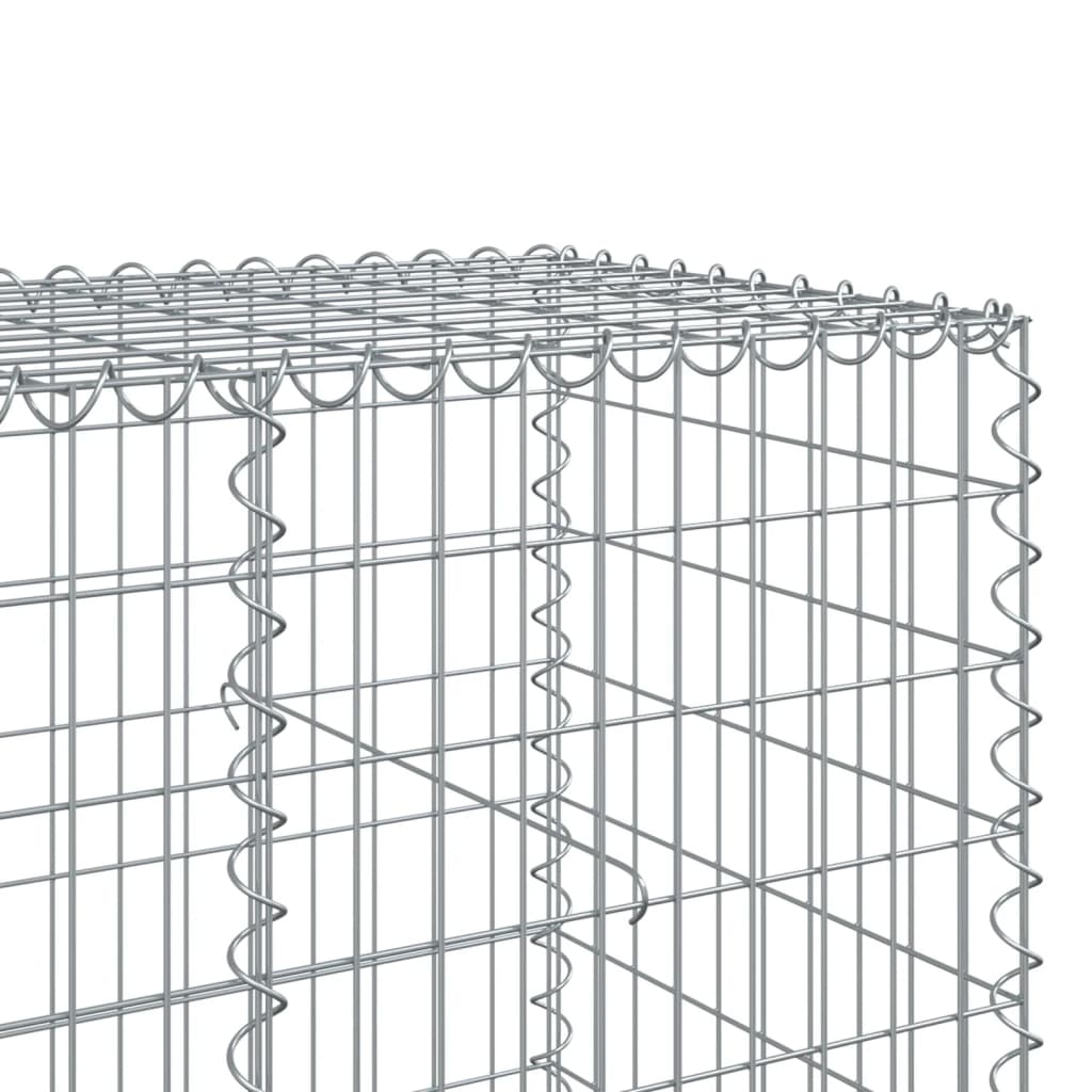 Panier gabion avec couvercle 250x100x100 cm fer galvanisé