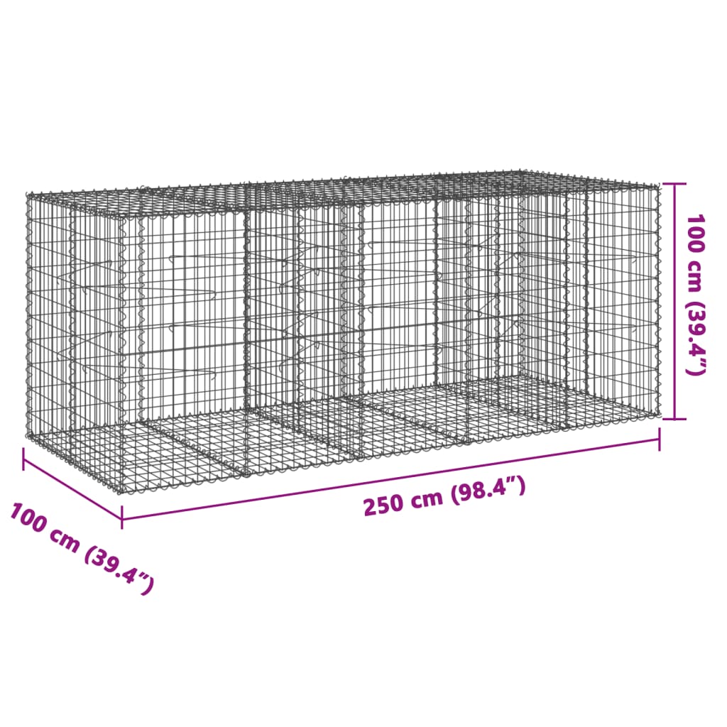 Panier gabion avec couvercle 250x100x100 cm fer galvanisé