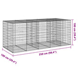 Panier gabion avec couvercle 250x100x100 cm fer galvanisé