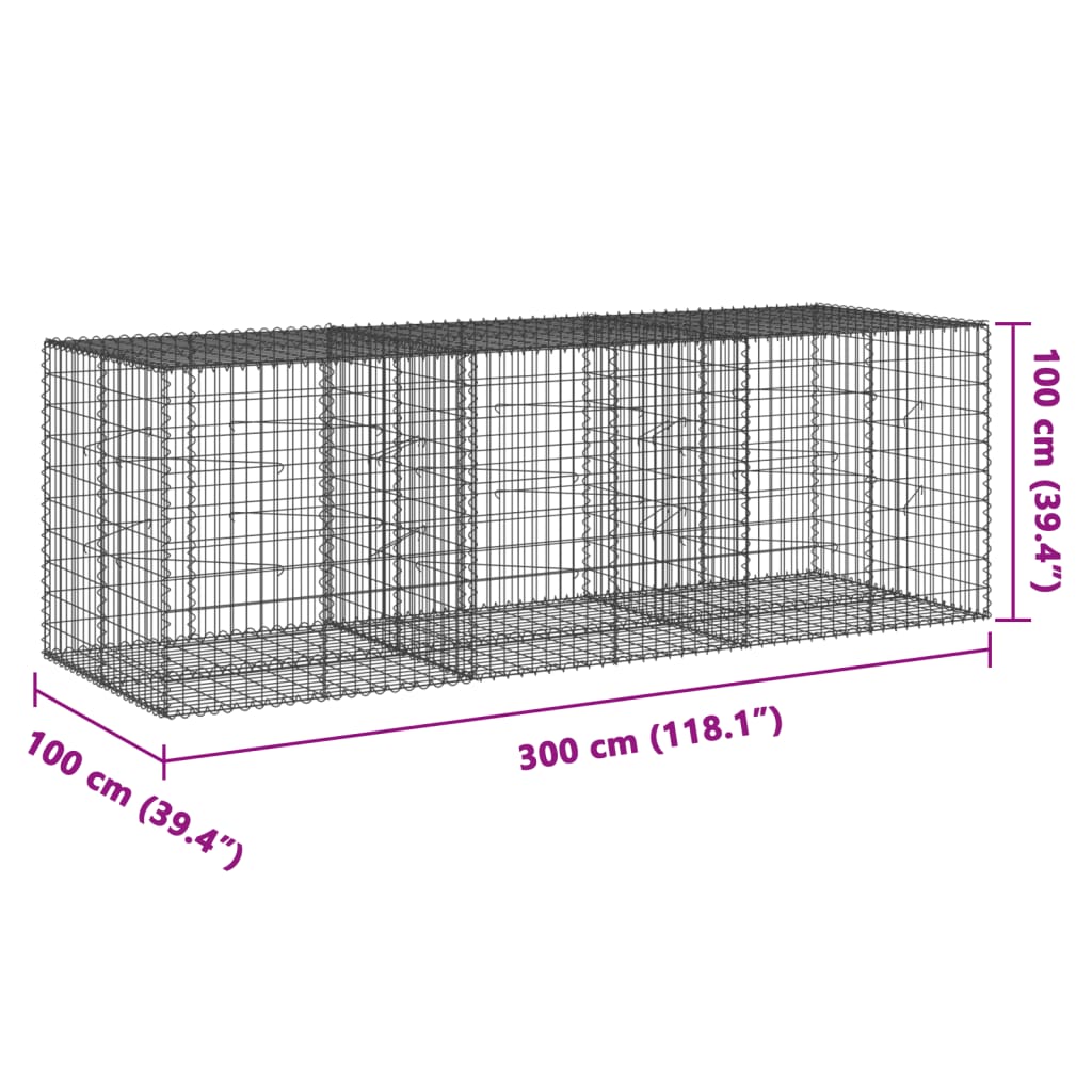 Panier gabion avec couvercle 300x100x100 cm fer galvanisé