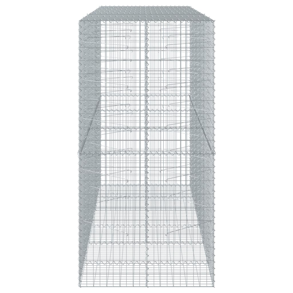 Panier gabion avec couvercle 300x100x200 cm fer galvanisé