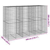 Panier gabion avec couvercle 300x100x200 cm fer galvanisé