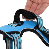 Dog harness with adjustable reflective strips blue S