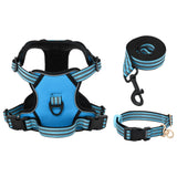 Harnais pour chien avec laisse et collier réglables bleu S