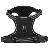 Harnais pour chien avec laisse et collier réglables noir XL